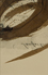 Nelson's Trafalgar